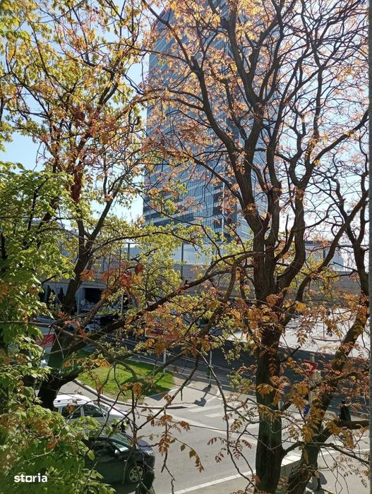 Aviației vizavi de Promenada