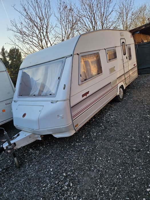 Rulota inmatriculata RO