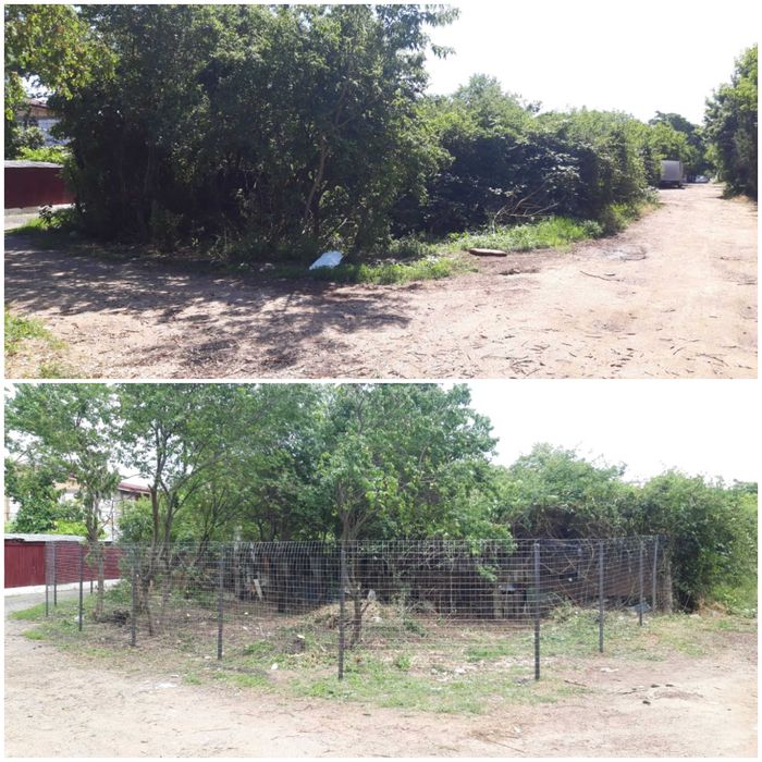 Defrisare Curatare teren Vegetatie Arbusti Ambrozie, Tocare crengi