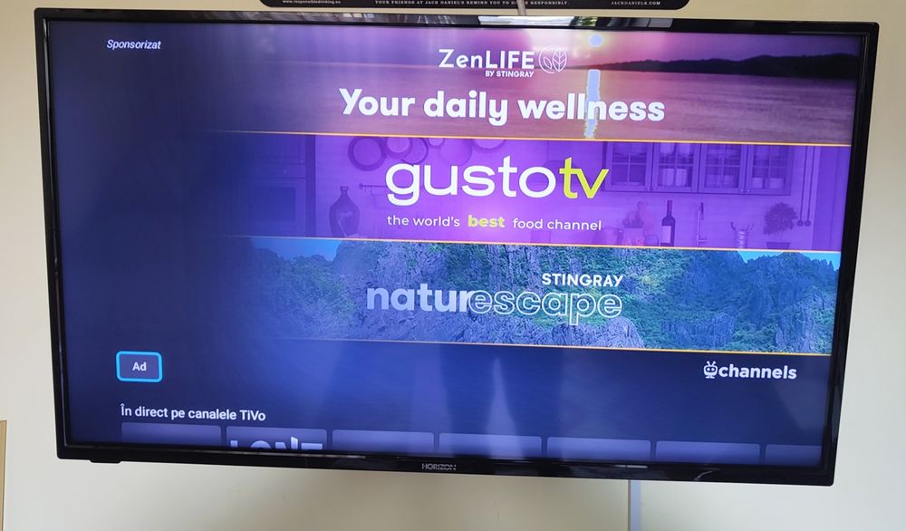 Televizor  smart Horizon