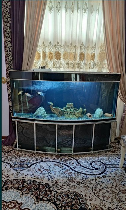 550 litrli Akvarium komplekt xamma narsasi bilan sotiladi