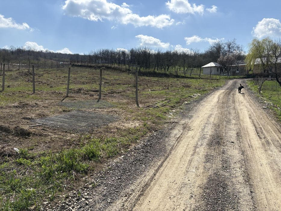 Vand teren Vladiceni Intravilan