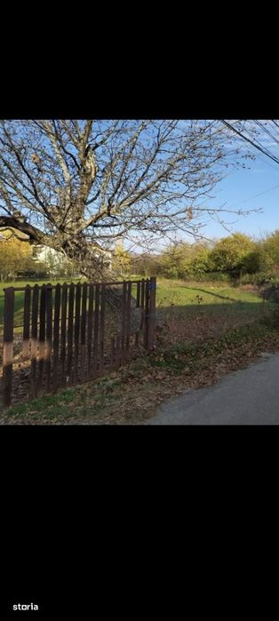 Teren intravilan de vanzare Poiana Campina, sat Bobolia