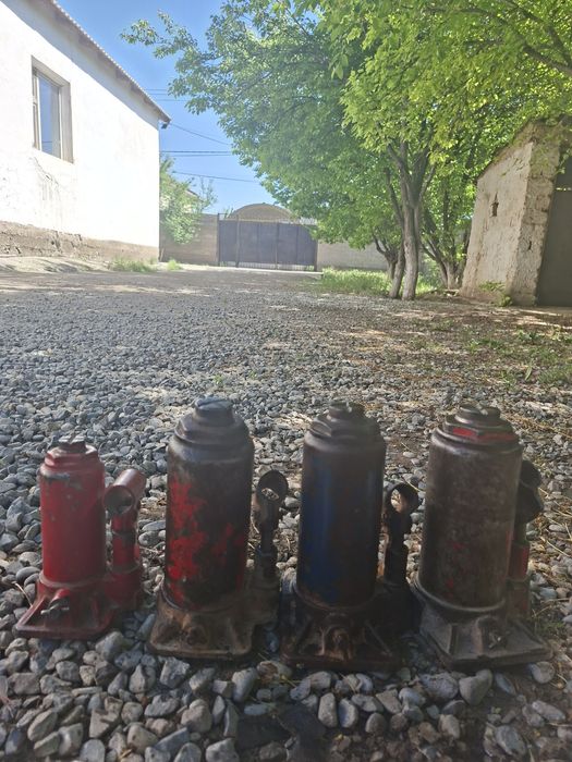 Донкрат Дамкрат на газель