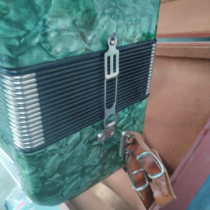 Acordeon Timiș...