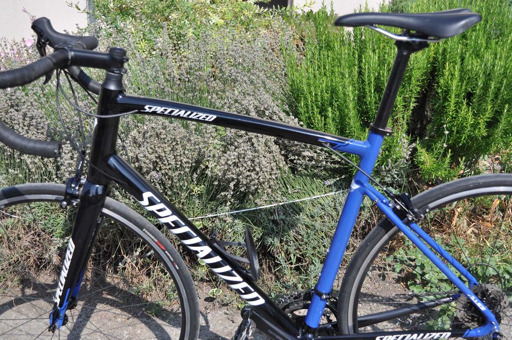 Specialized Allez Elite 2021  - шосеен велосипед с карбонова вилка