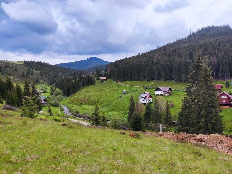 Teren extravilan Poiana Horea