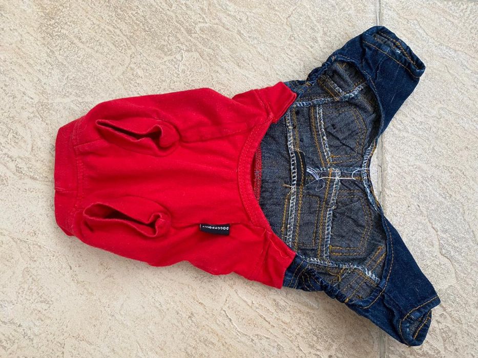 Одежда для мелких пород собаки