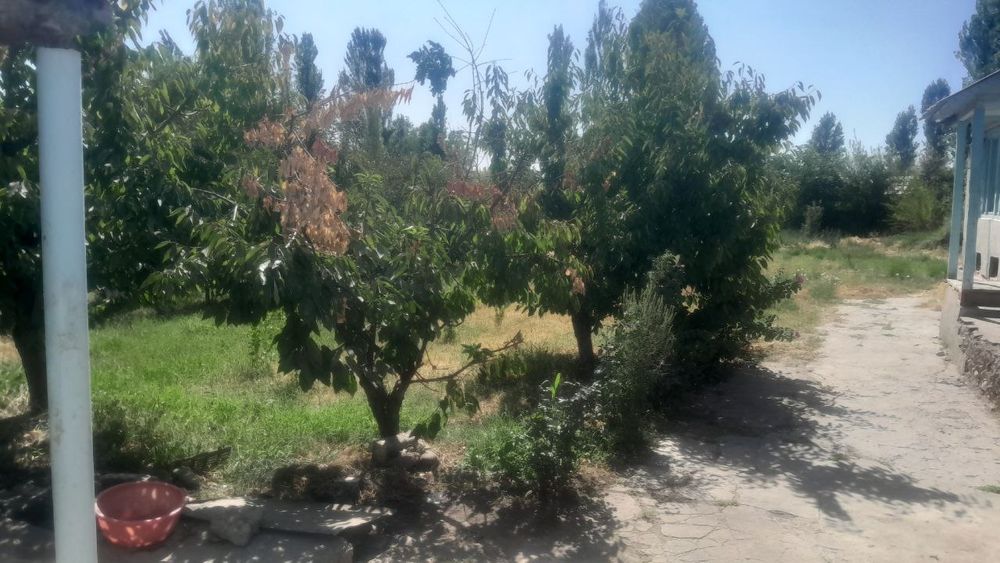 Yer sotildi uyimizni yarimi 10 sotig sotigi 10 ming kelishildi