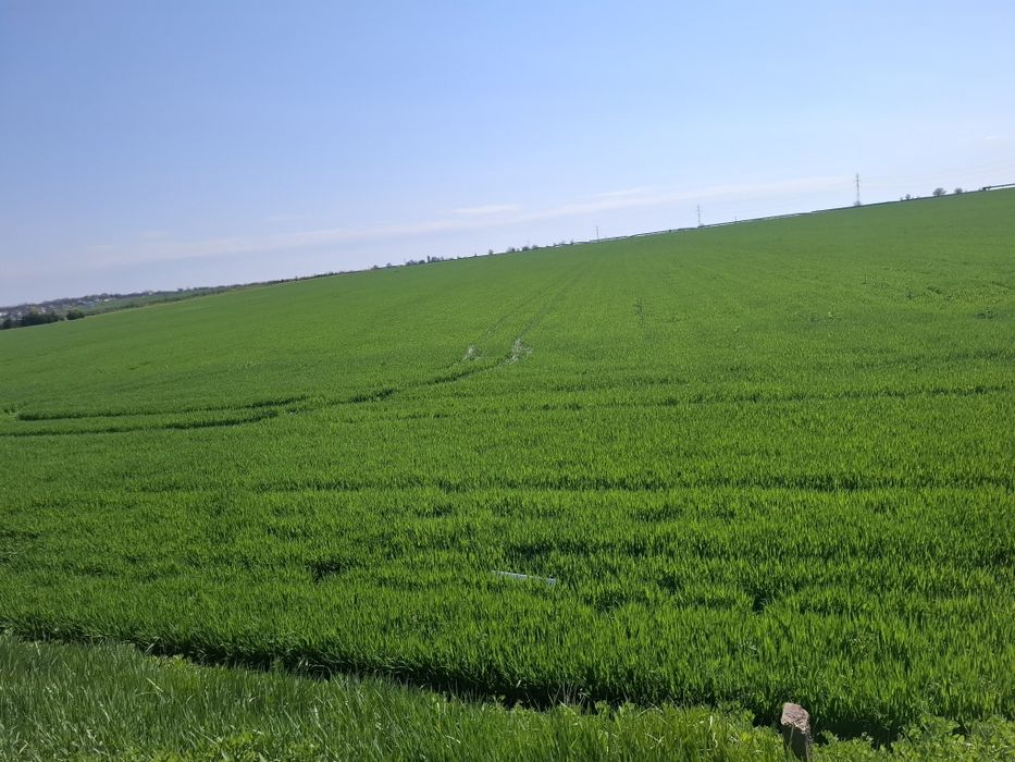 Teren extravilan Agigea