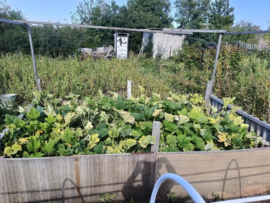 Продается дачный участок