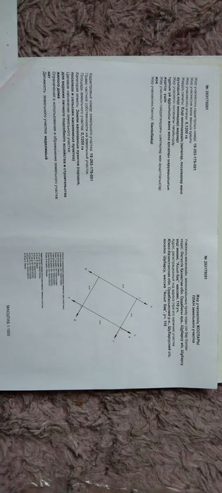 Шұбарсу! Тегіс жер! Орталық!