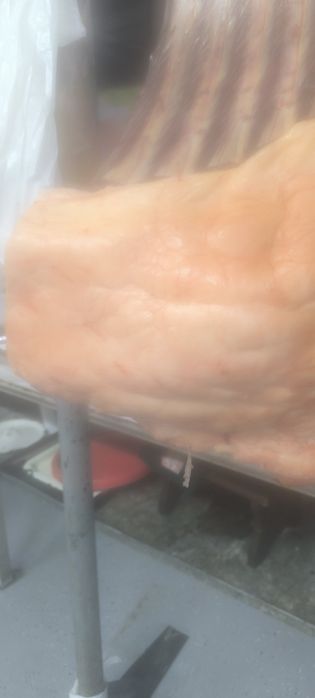 Казы жир ,шужык !