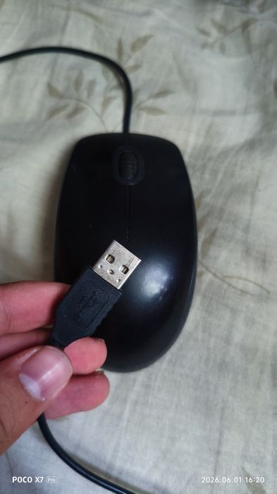 Мышка Logitech B100