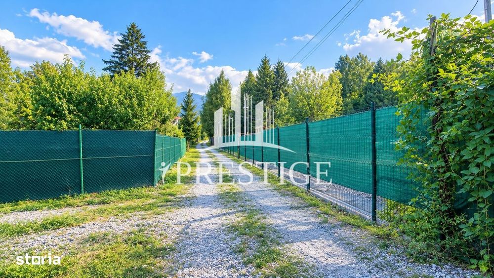 Teren Intravilan De Vânzare | Valea Avrigului | 744 Mp