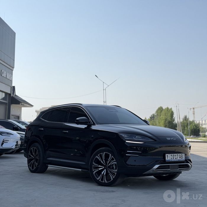 Byd champion smart
