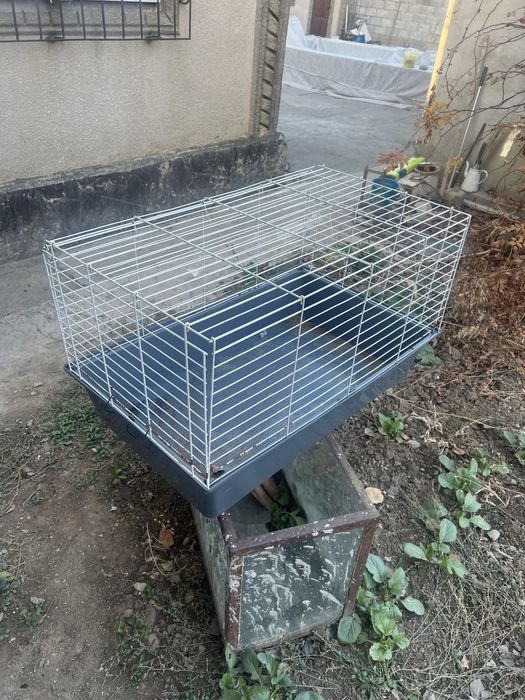 Клетка большая…..