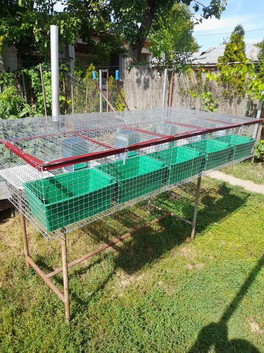 Cusca iepuri pt fatare si tineret