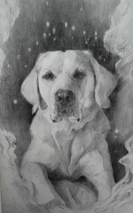 Портрети по поръчка - хора, домашни любимци