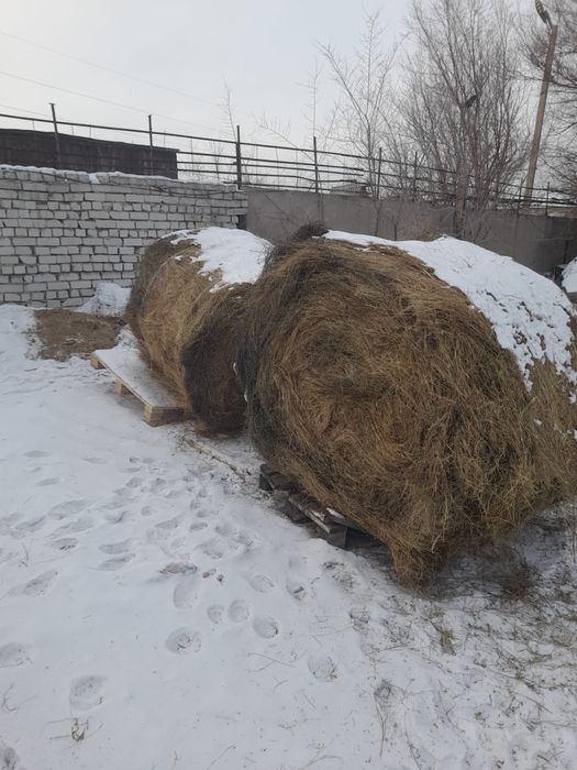 Шөп житняк Сено рулон