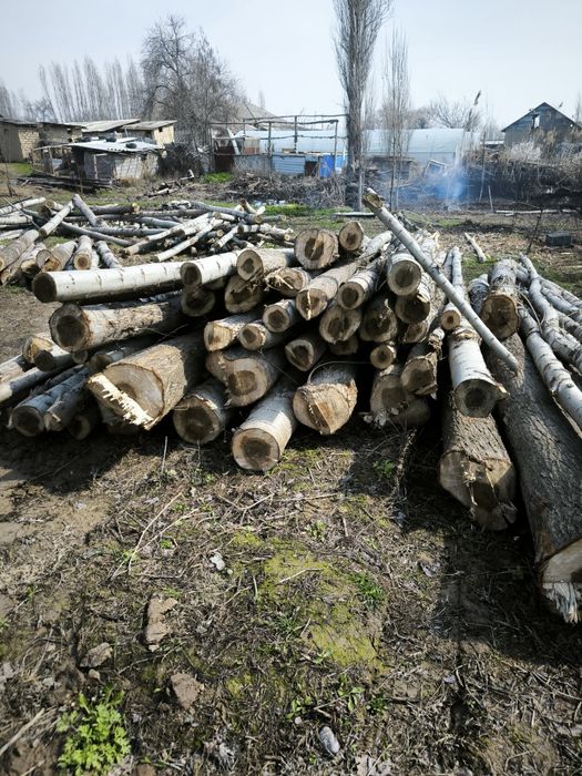 Terak sotiladi 430 oʻlchab kesilgan