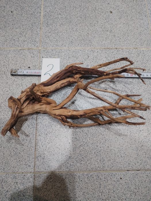 Корени за аквариум, терариум, паладиум