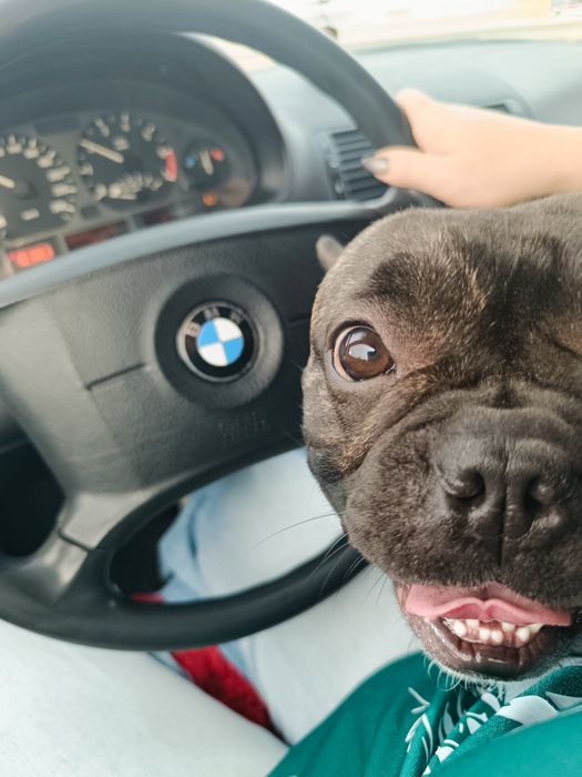 Молодой красавчик