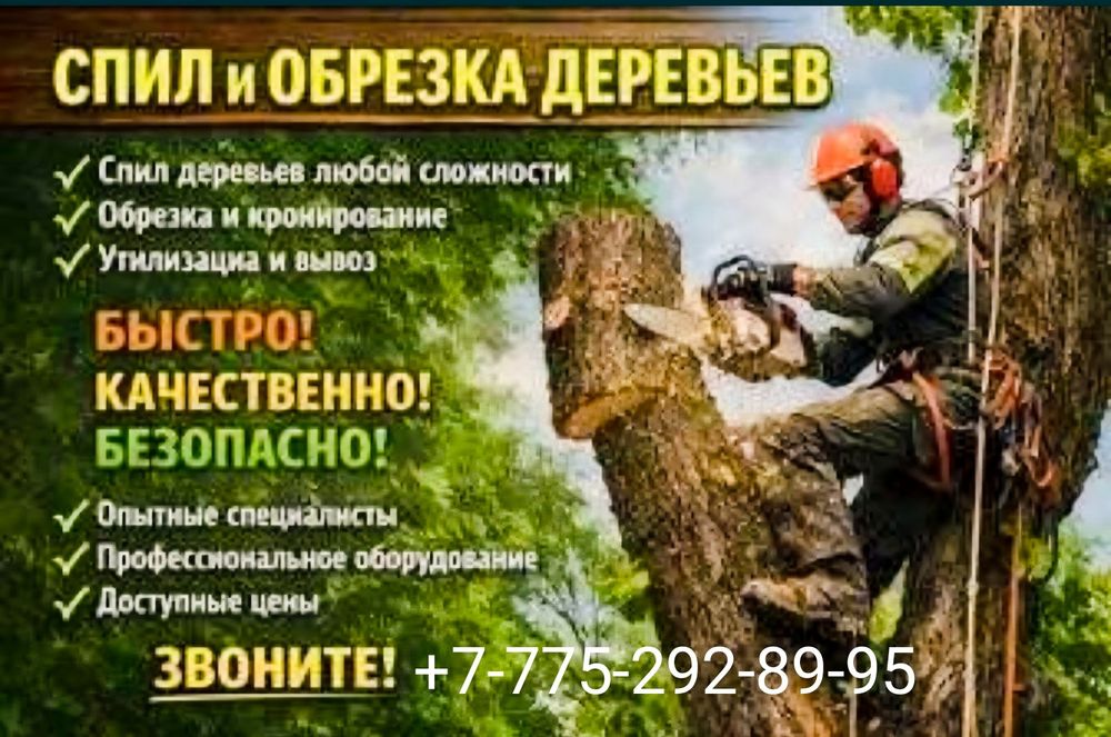 Спил деревьев агаш кесемиз