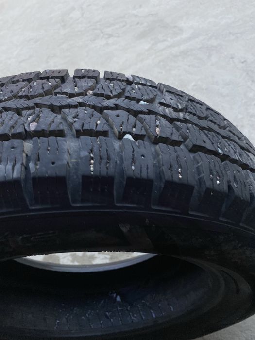 Tunga Nordway шины