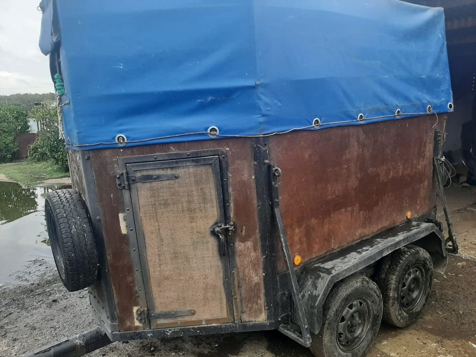 Прицеп коневоз легковой