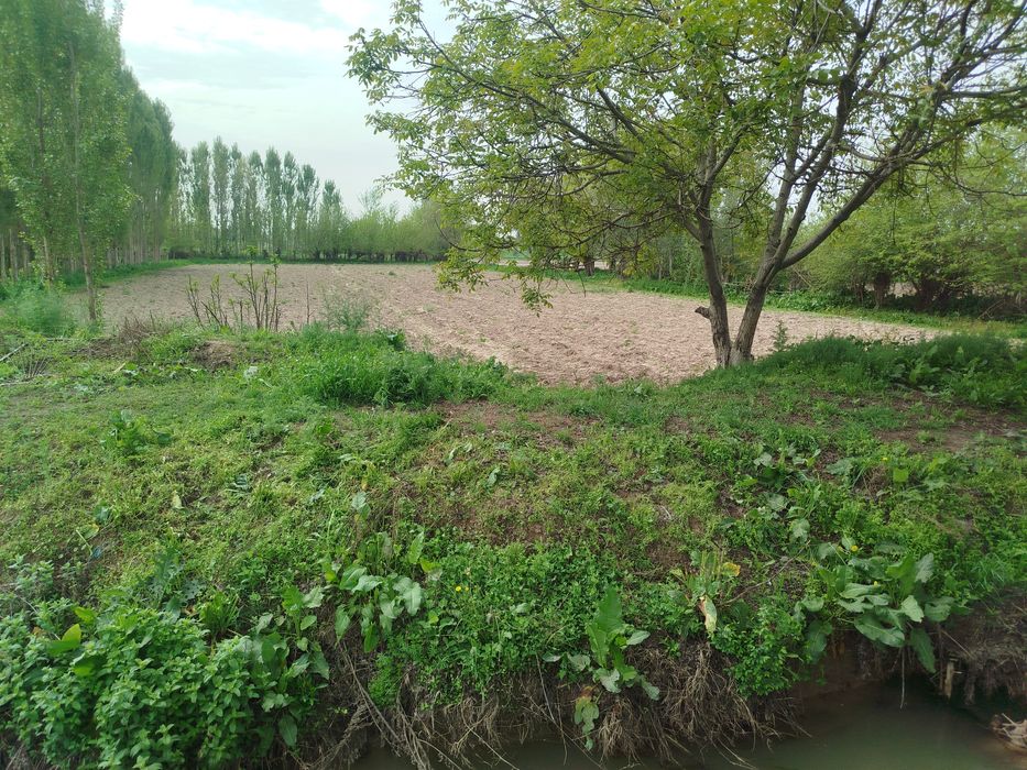 Yer uchastkasi 6 sotixdan  70sotixgacha qib beramiz hujatida muamo yoq