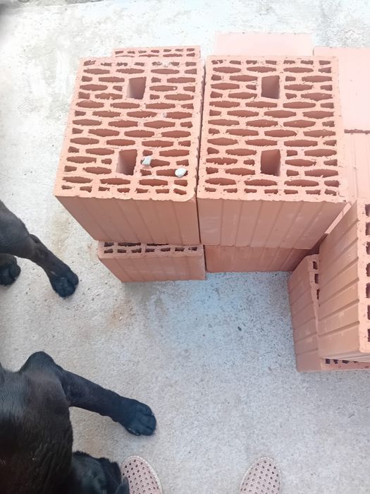 Caramida 29 pret de la 5.4  ron buc