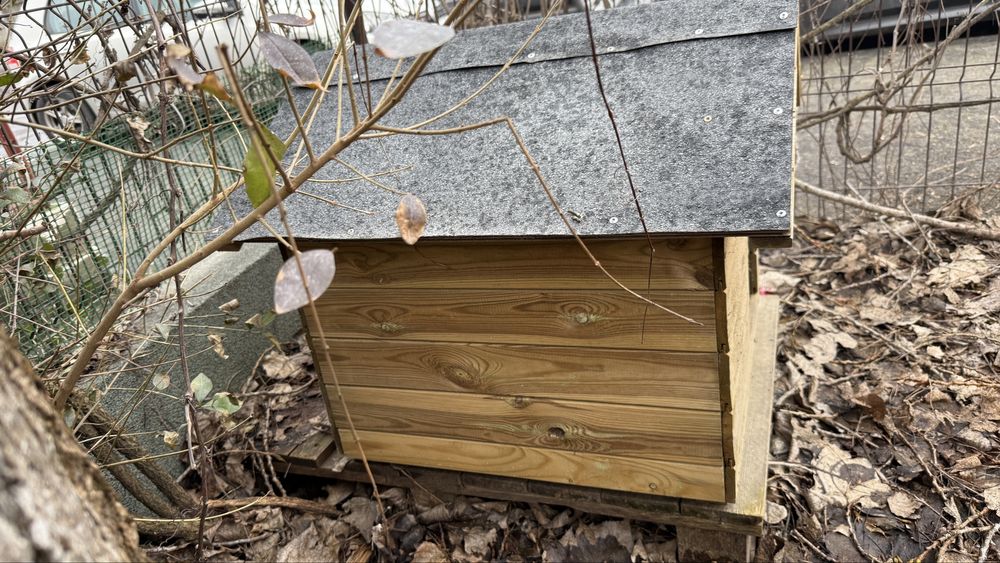 Cușcă câine din lemn – solidă, rezistentă