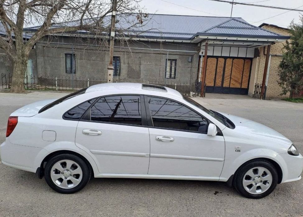 lasetti jentra lacerti