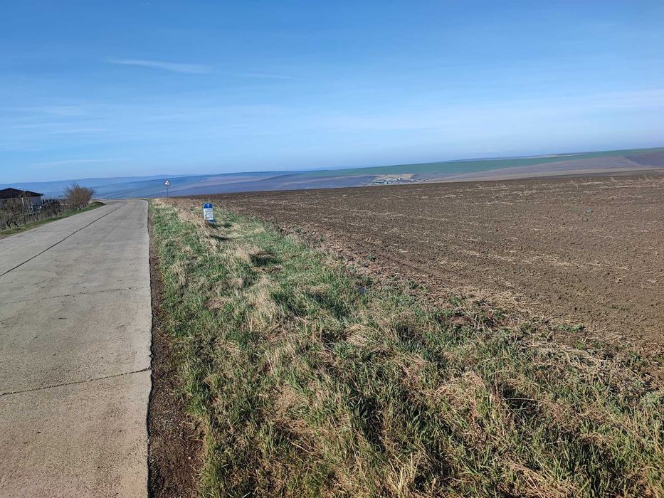 Rediu Horlesti 7840 mp des Soseaua  DJ 248b Vand-Inchiriez parcelabil