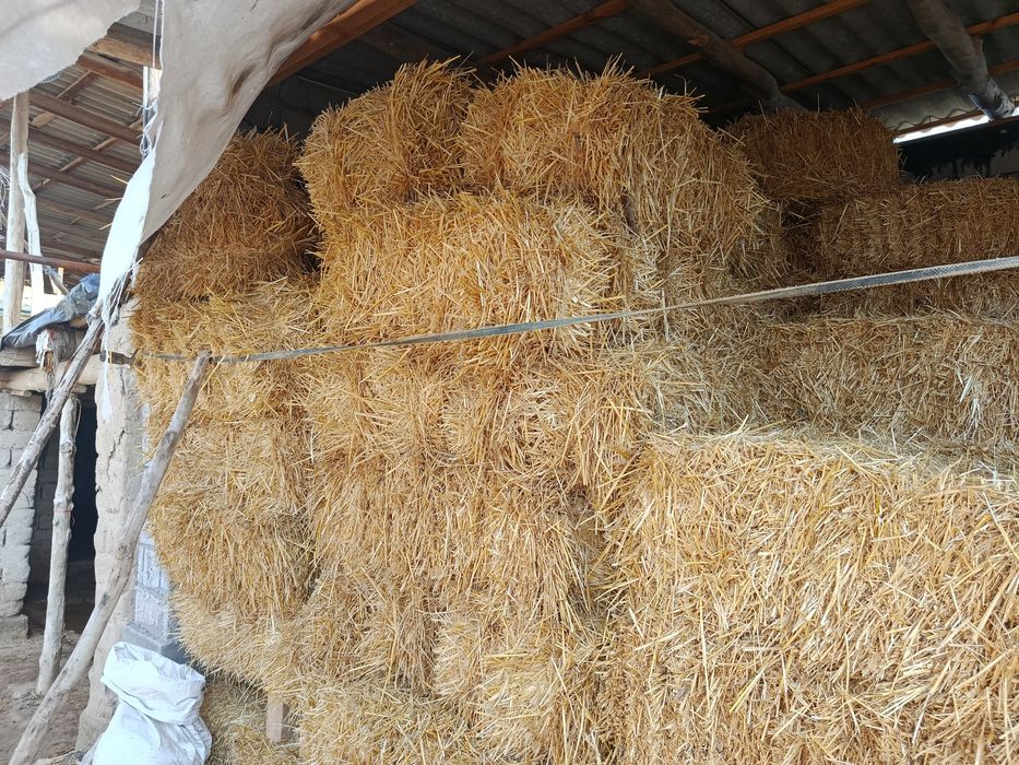 Somon Pres sotiladi,Yaxshi holatda