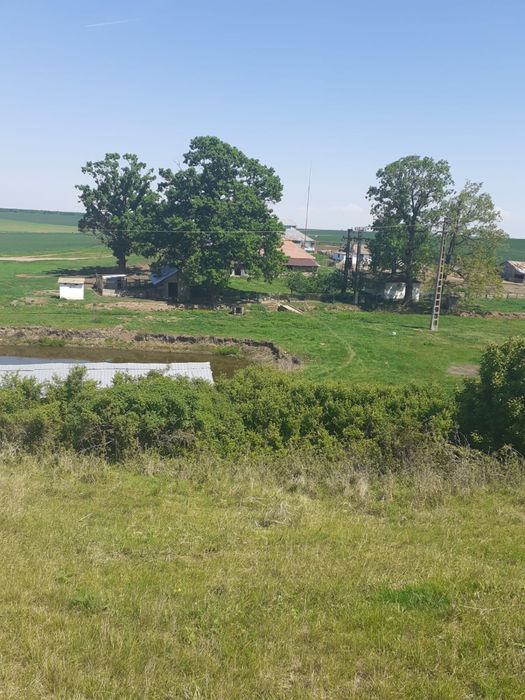 Anunt vanzare ferma Arges