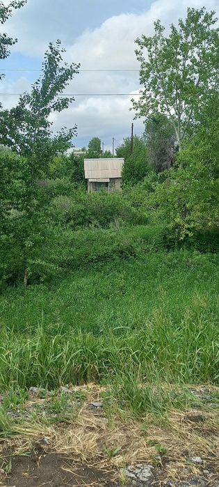 Продам дачу СО "ЭЛЕВАТОРЩИК "