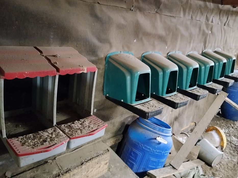 Продам гнезда для йца