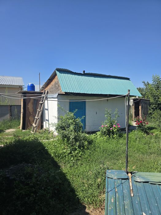 продам дом в Заре