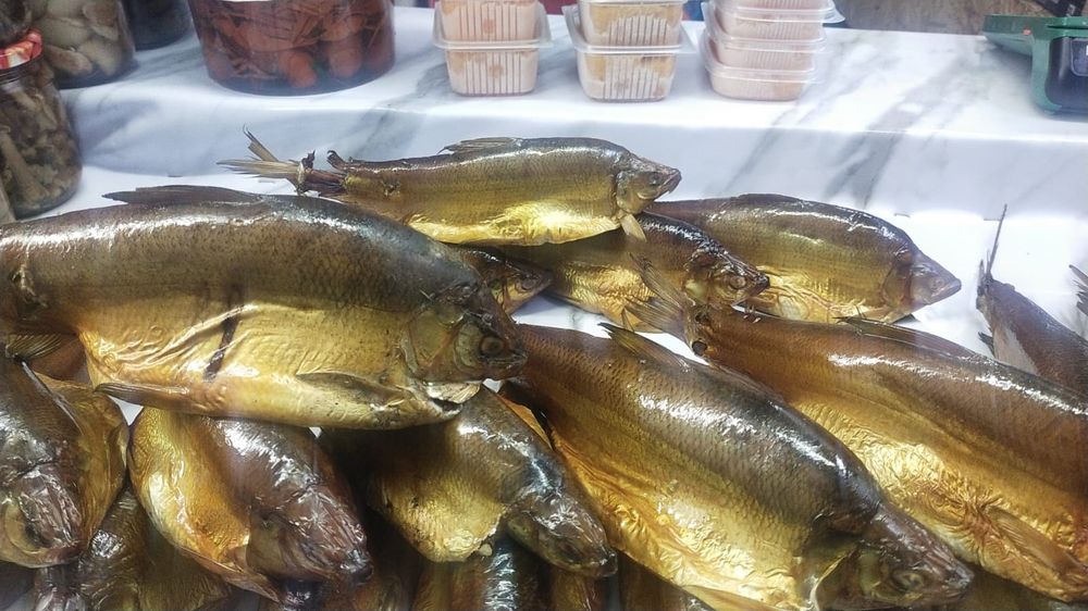 Продам рыбу пелядь.