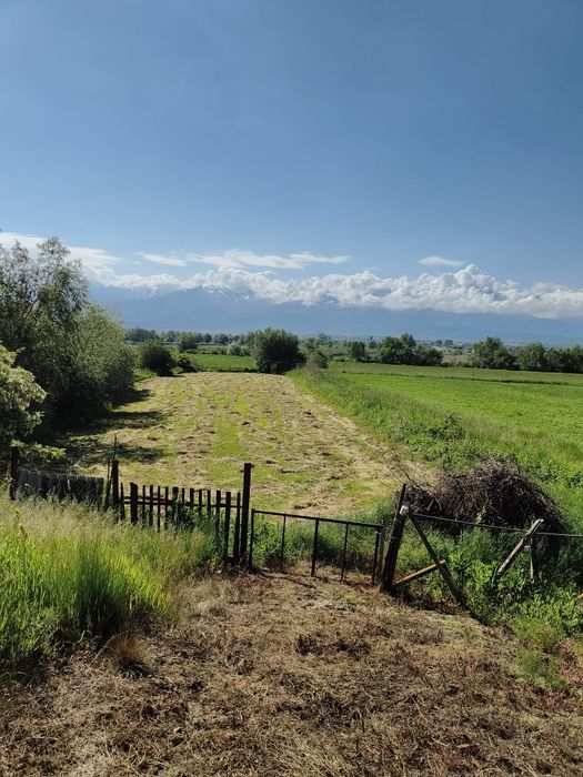 Casă cu grădină roditoare și teren 3000 m² de vânzare – Săcădate, Sibiu / House with Garden and 3000 m² Land for Sale – Săcădate, Sibiu
