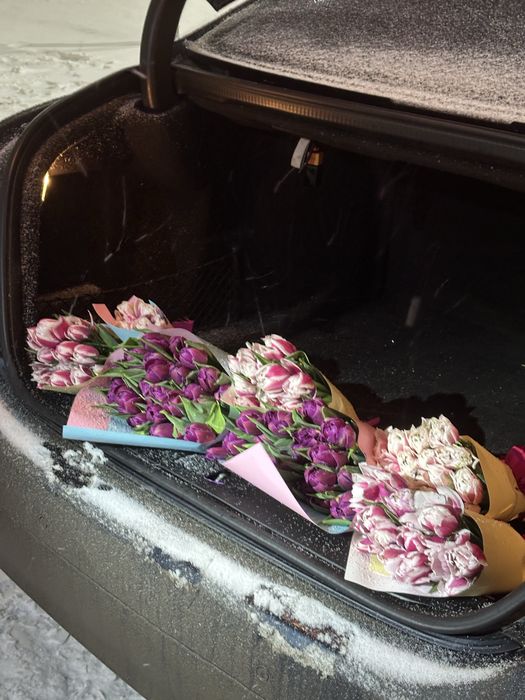 Тюльпаны пионовидные