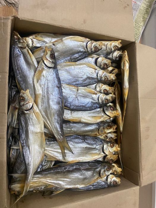 Вобла вяленая(Атырауская)