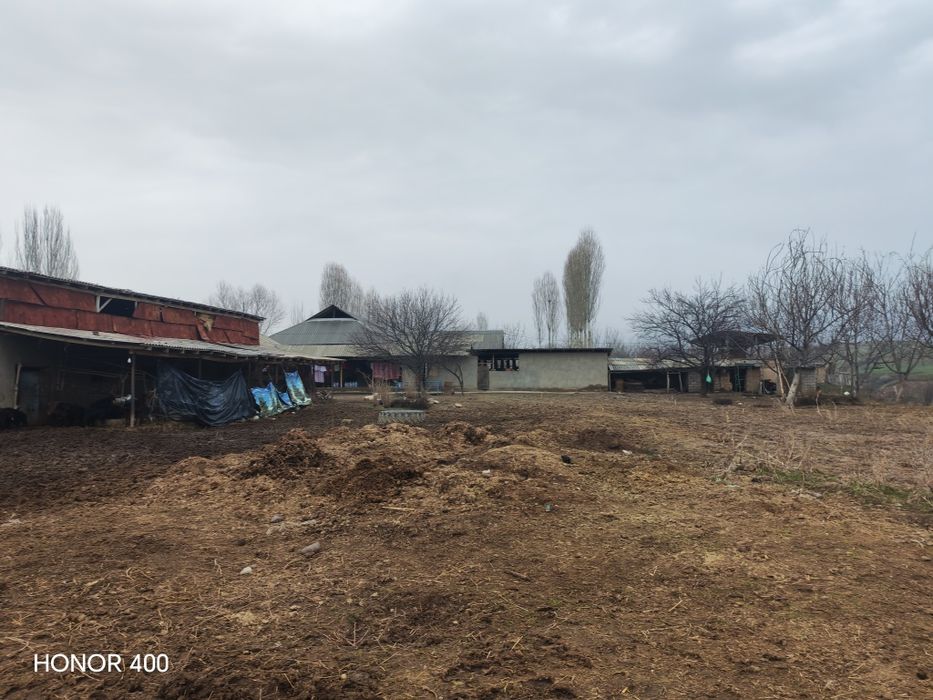 Bo'stonliq tumanidan mol chorvachiligi uchun mol xona yer sotiladi