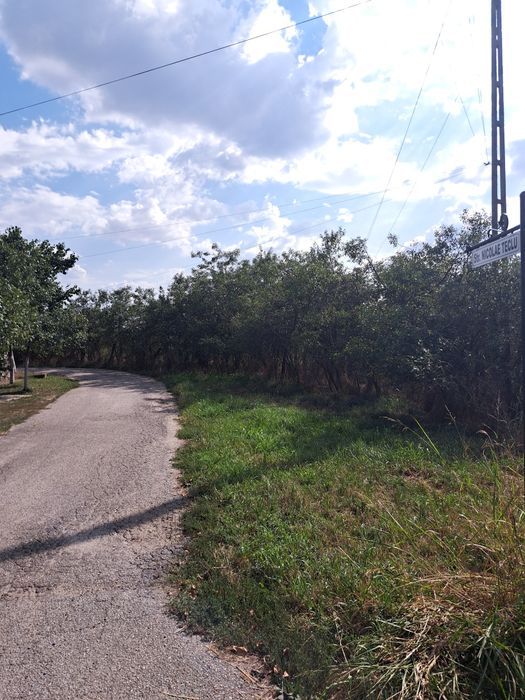 Teren intravilan Mandruloc