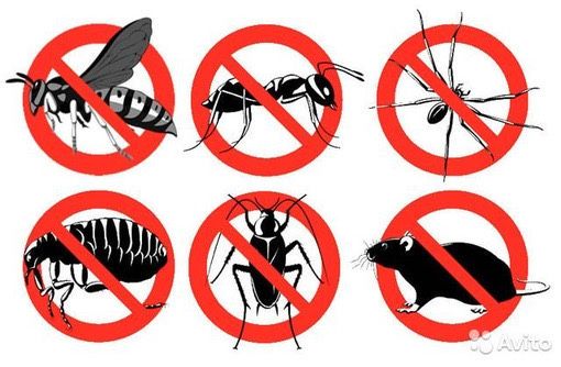 10% СКИДКА Дезенфекция дизенфекция дезинфекция дизинфекция dizinfeksiy