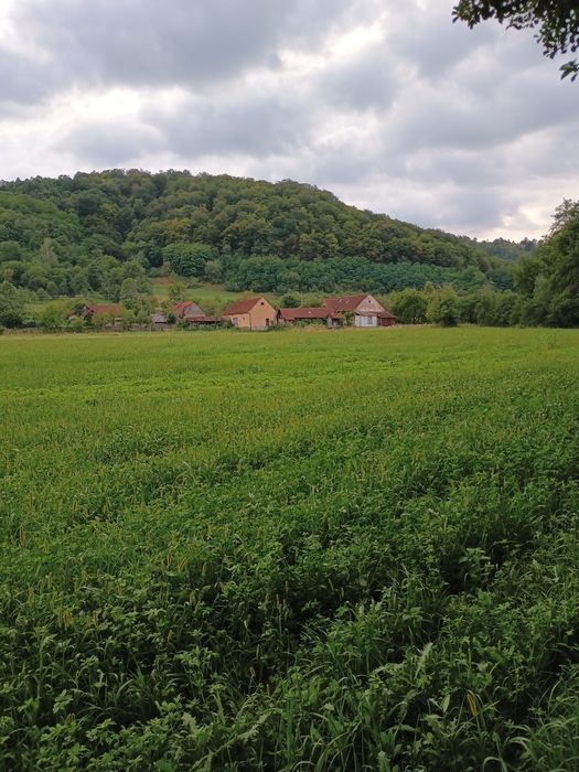 Casa cu gradina intravilan