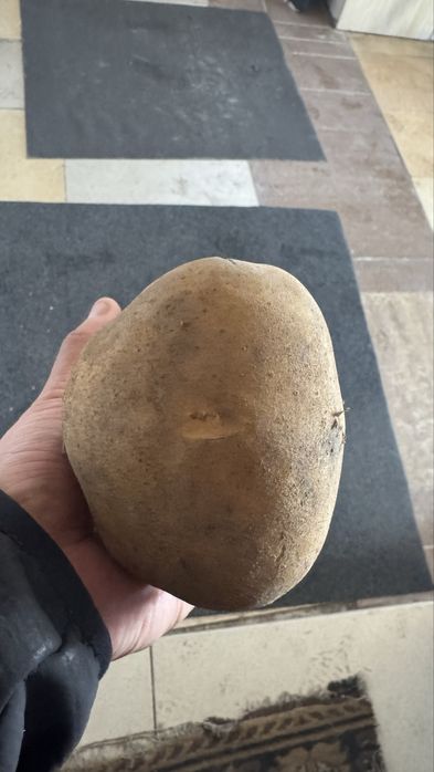 Картошка домашняя с Есенгельди