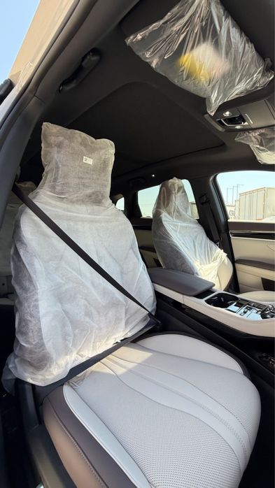 BYD Champion song plus